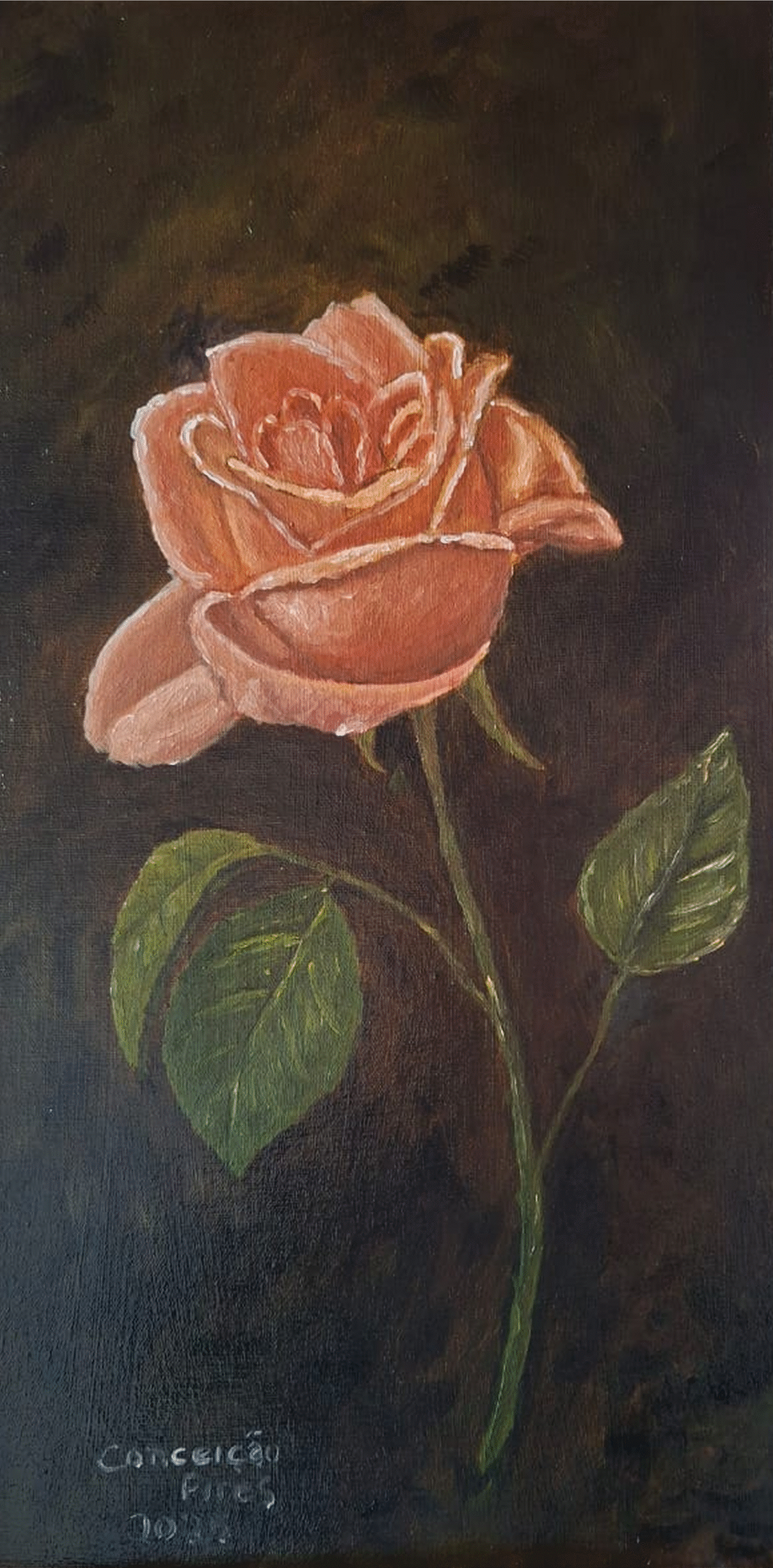 Maria Conceição (1)